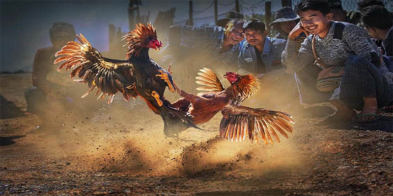 k899x chơi bắn cá đổi thưởng