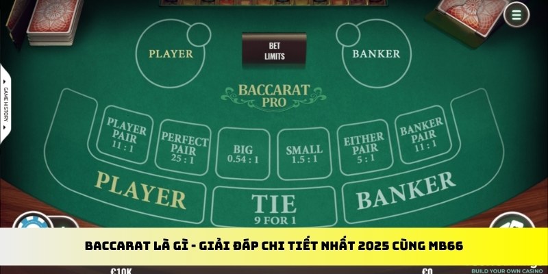 k899x gà chọi cu cần