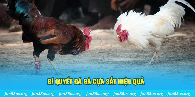 k899x xin 1 slot là gì