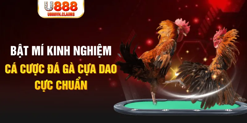 k899x tỷ lệ cá cược châu á là gì