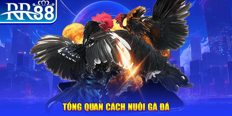 k899x VA Điện Tử