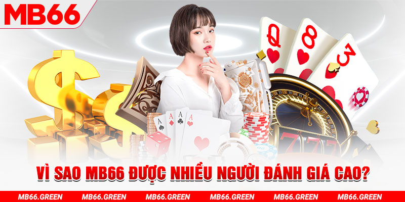 k899x đá gà