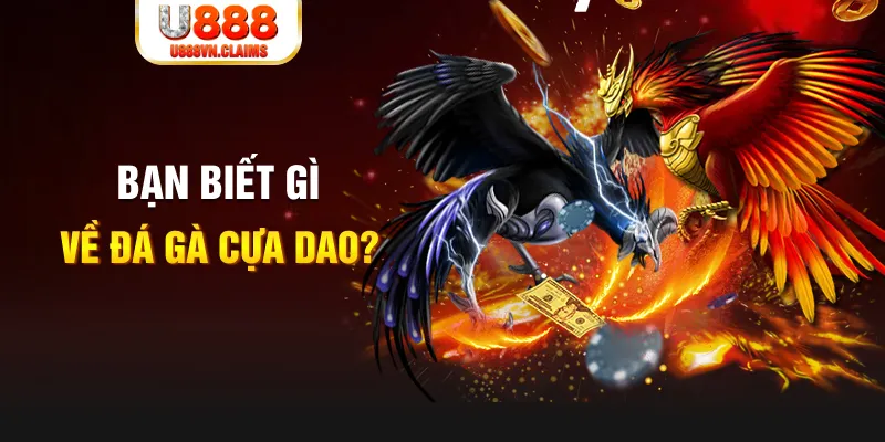 k899x nổ hủ là gì