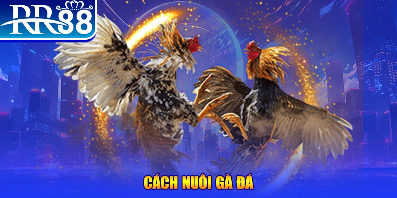 k899x xổ số an giang