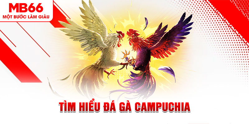 k899x game đánh bài trên máy tính