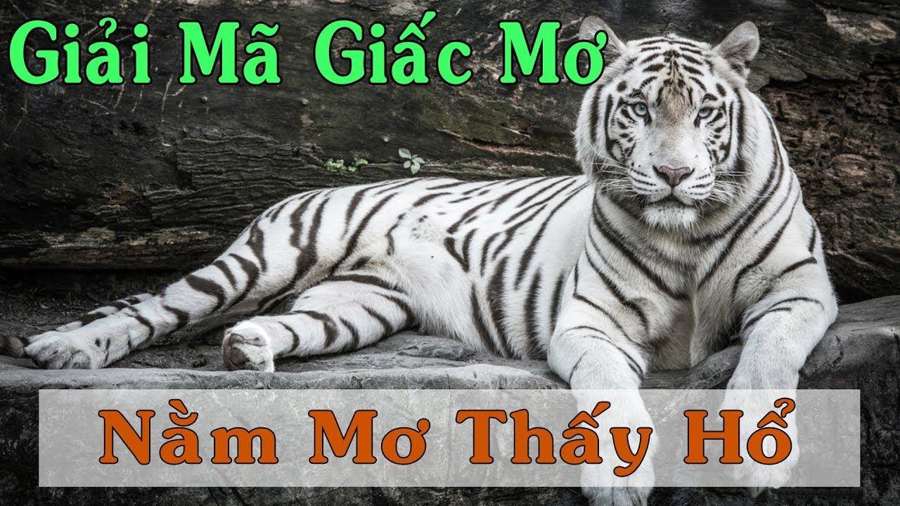 k899x xổ số 3 miền