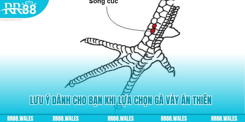 k899x xổ số đồng nai