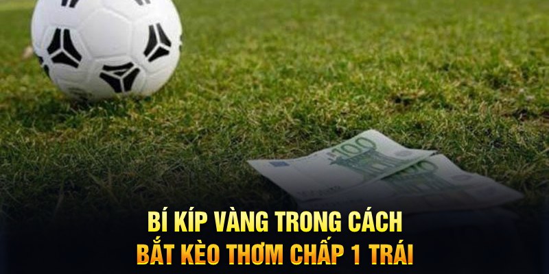 k899x sổ xô miên bắc