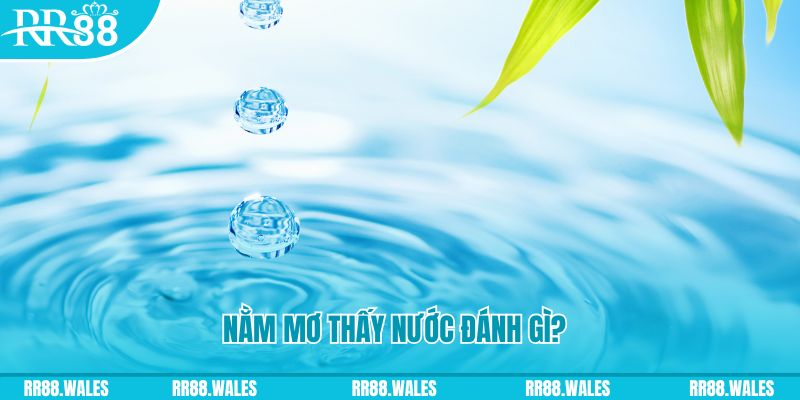 k899x TP Bắn cá
