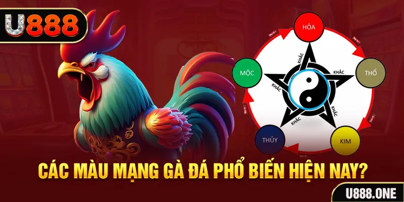 k899x trực tiếp đá gà 88