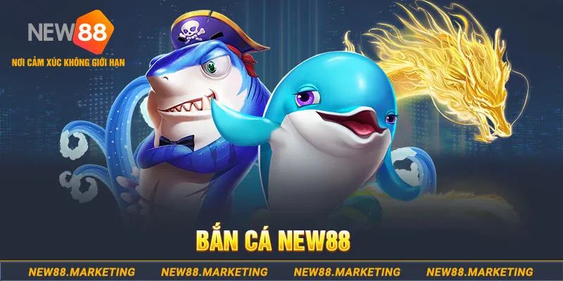 k899x ban ca xeng 2