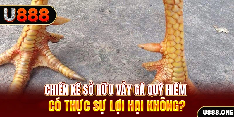 k899x nohu .mx nổ hủ là gì