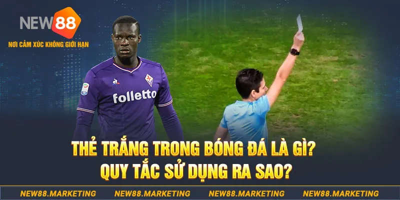k899x gà chọi mộc hóa