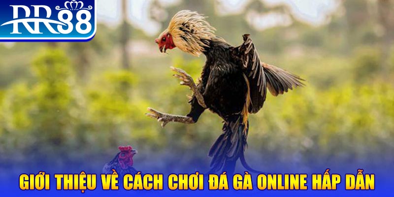 k899x game nổ hũ rút tiền mặt là gì