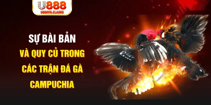 k899x YGR Điện Tử