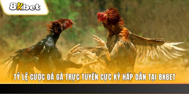 k899x xổ số trực tiếp miền bắc