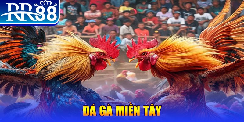 k899x chơi slot là gì