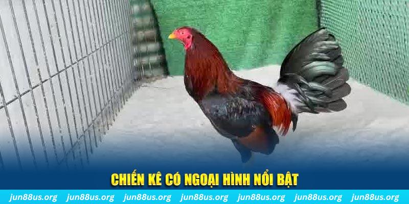 k899x chạy quảng cáo cho game bài bị phạt như thế nào