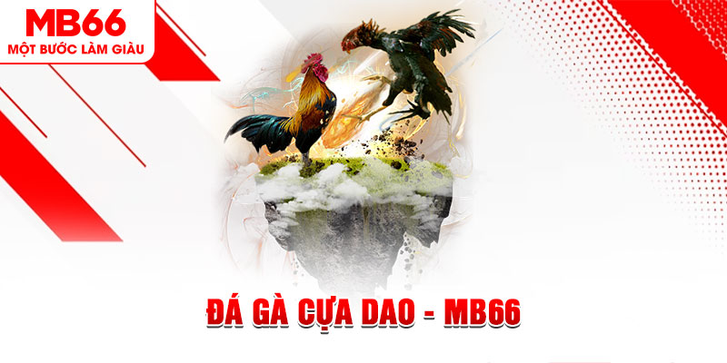 k899x đá gà sv388 gold