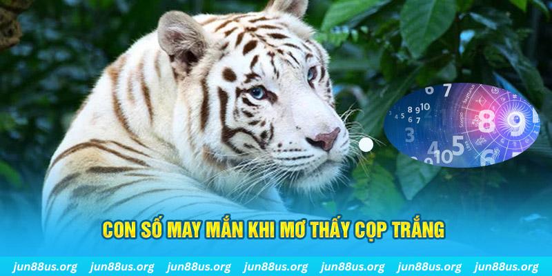 k899x đá gà trực tiếp 88